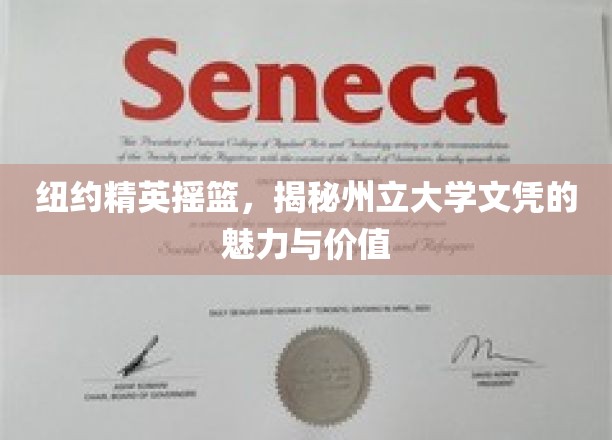 纽约精英摇篮，揭秘州立大学文凭的魅力与价值