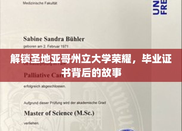 解锁圣地亚哥州立大学荣耀，毕业证书背后的故事