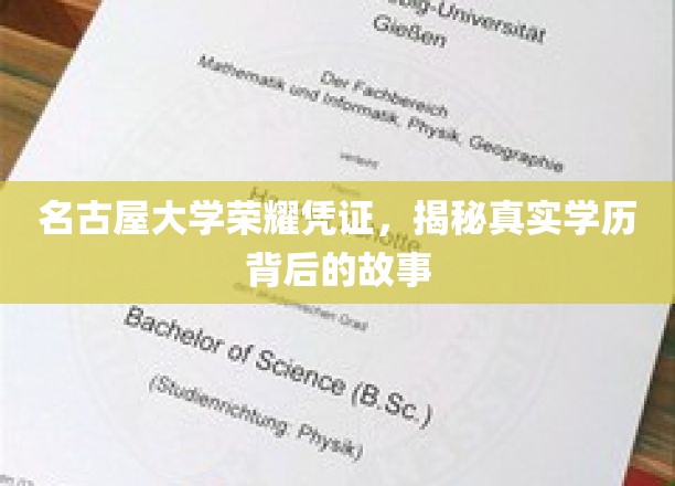 名古屋大学荣耀见证，学历背后的传奇历程深度解析