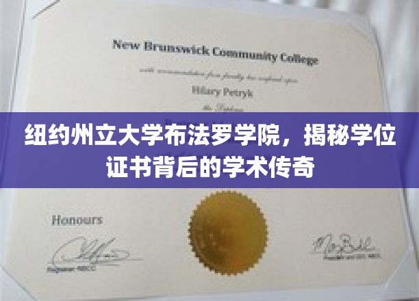 探寻纽约州立大学布法罗学院，学位证书背后的深厚学术故事
