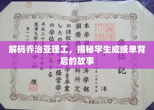 揭开乔治亚理工学子成绩单的神秘面纱