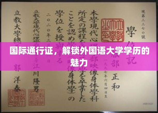 跨国通行证，外国语大学学历的全球吸引力解析