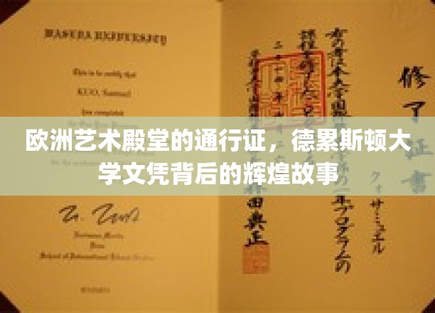 解锁德累斯顿艺术之门，揭秘德累斯顿大学文凭的荣耀传奇