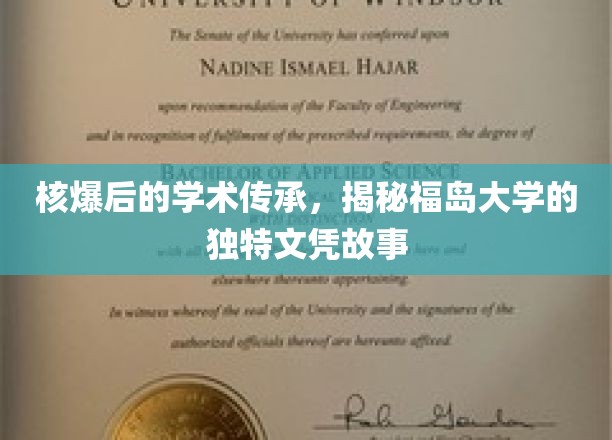 核爆后的学术传承，揭秘福岛大学的独特文凭故事