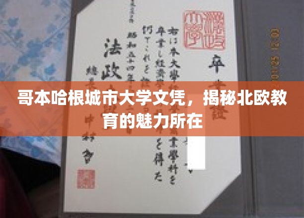 探秘哥本哈根城市大学，北欧教育之魅，文凭背后的故事