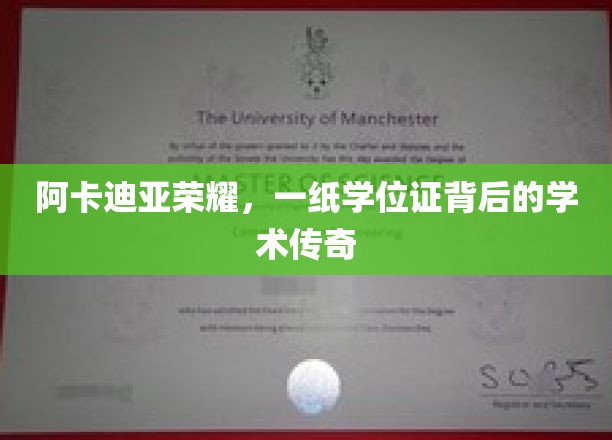 阿卡迪亚荣耀，一纸学位证背后的学术传奇