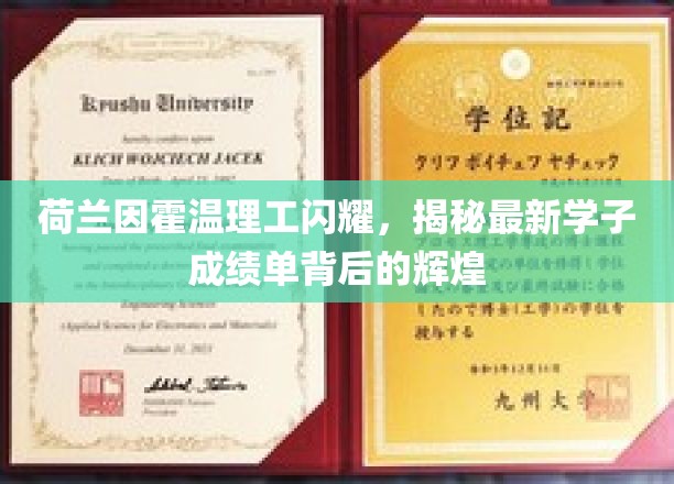荷智之光，因霍温理工学子成绩单背后的璀璨成就