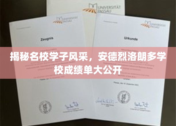 揭秘名校学子风采，安德烈洛朗多学校成绩单大公开