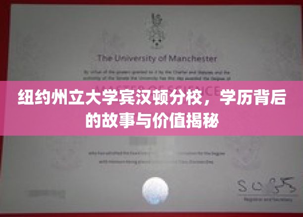 纽约州立大学宾汉顿分校，学历背后的故事与价值揭秘