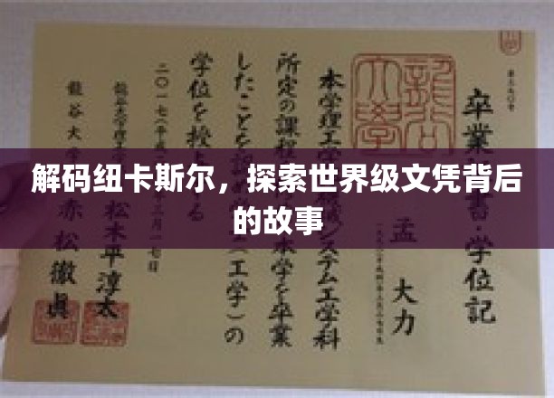纽卡斯尔文凭之谜，揭秘全球视野下的精英教育传奇