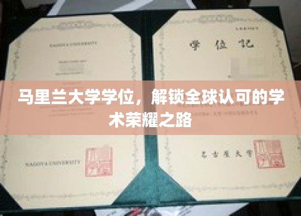 马里兰大学学位，开启通往国际学术殿堂的荣耀之门