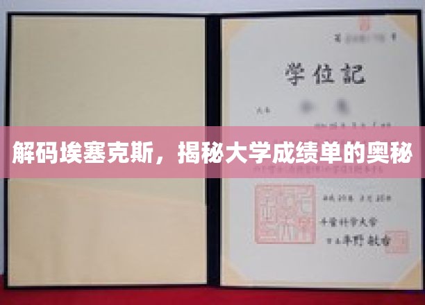 解锁埃塞克斯大学成绩单的神秘面纱
