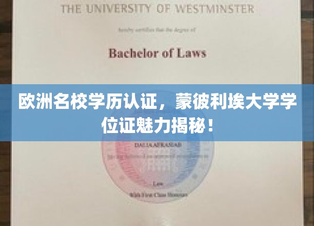 欧洲精英学府蒙彼利埃大学，学位证背后的非凡魅力探索