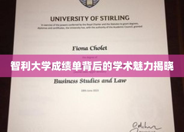 解码智利大学成绩单，探寻学术风采的神秘面纱