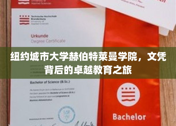 解码纽约城市大学赫伯特莱曼学院，文凭背后的非凡教育历程