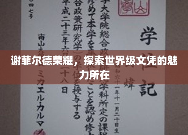 谢菲尔德荣耀揭秘，世界级文凭背后的独特魅力