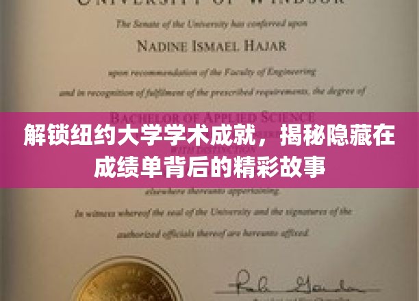 纽约大学成绩单背后，探寻学术卓越的非凡旅程