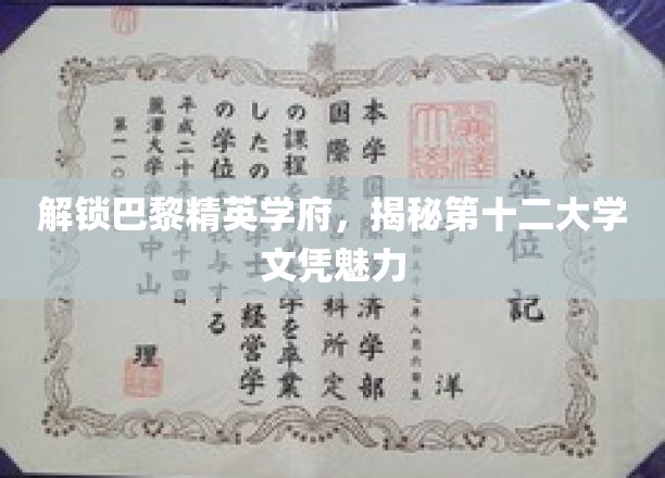 巴黎精英学府新宠，第十二大学文凭的独特魅力揭秘