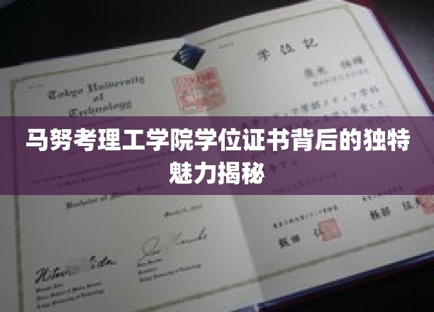 马努考理工学院学位证书背后的独特魅力揭秘