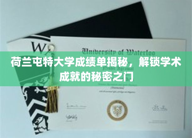 荷兰屯特大学成绩单背后的学术奥秘，一探究竟！