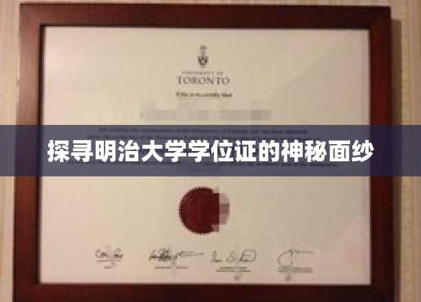 揭开明治大学学位证的神秘面纱