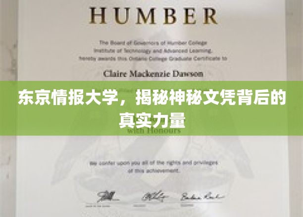 解码东京情报大学，揭秘文凭背后的非凡影响力