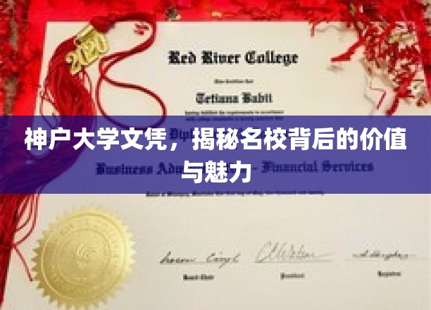 神户大学文凭背后的名校魅力，价值与传奇解读
