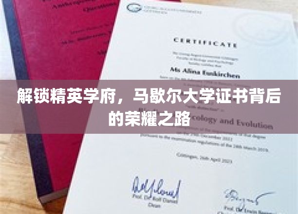 揭秘精英摇篮，马歇尔大学证书的辉煌成就之旅