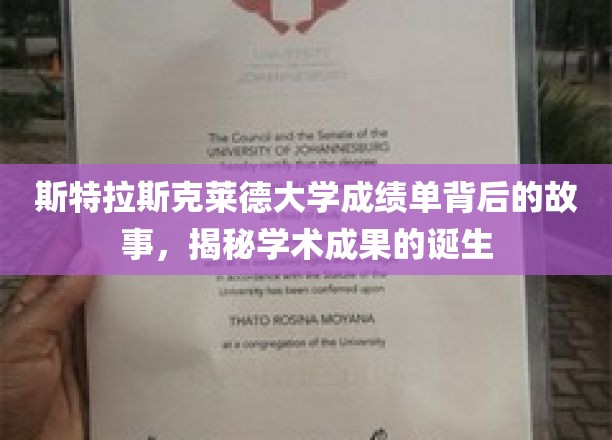 揭开斯特拉斯克莱德大学成绩单背后的学术奥秘