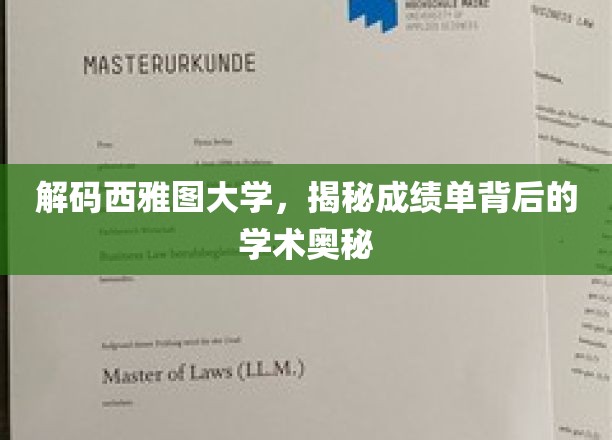 西雅图大学成绩单，探寻学术精英背后的秘密力量