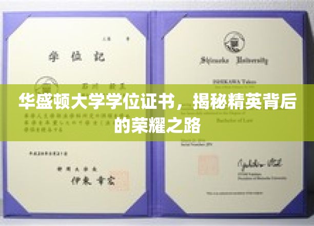 华盛顿大学学位证书，揭秘精英背后的荣耀之路