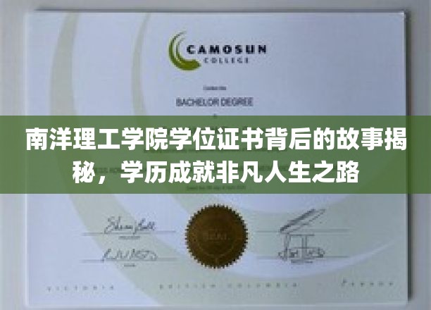解码南洋理工学院，证书背后的非凡学历传奇