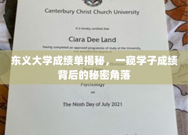 东义大学成绩单背后，揭秘学子成绩的隐藏世界