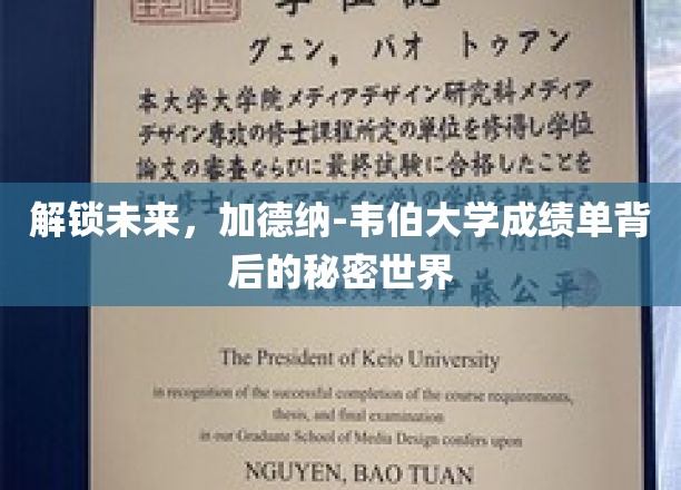 探索未知领域，揭秘加德纳-韦伯大学成绩单中的未来密码
