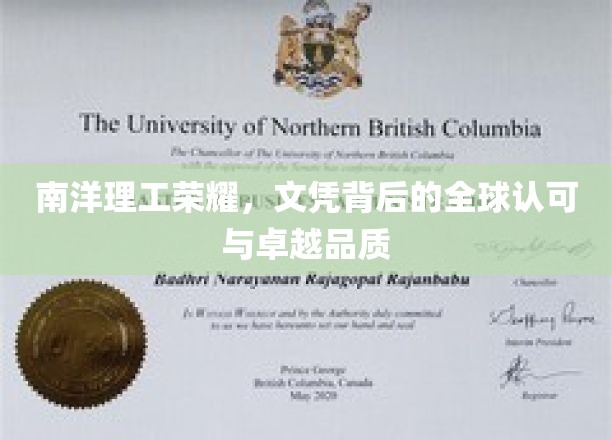 南洋理工骄子，国际通行证中的卓越与信任