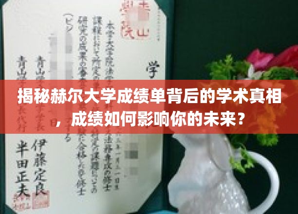 赫尔大学成绩单背后，揭秘学业成就如何塑造你的未来之路