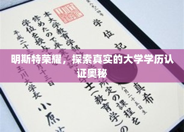 揭开明斯特荣耀，揭秘大学学历认证背后的真实世界