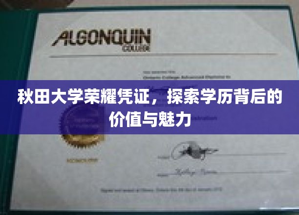 秋田大学学位荣耀揭秘，探寻学历非凡价值与独特魅力