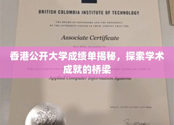 港公开大学成绩单背后，解码学术成就的璀璨桥梁