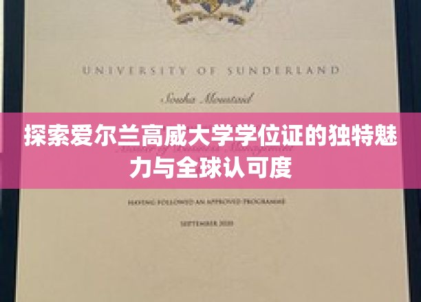 探索爱尔兰高威大学学位证的独特魅力与全球认可度
