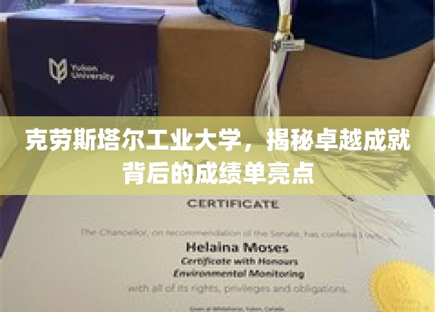 克劳斯塔尔工业大学，揭秘卓越成就背后的成绩单亮点