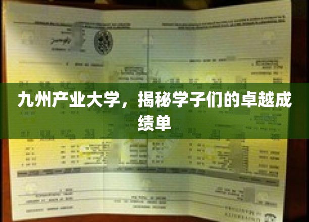 九州产业大学，学子们卓越成绩单的揭秘