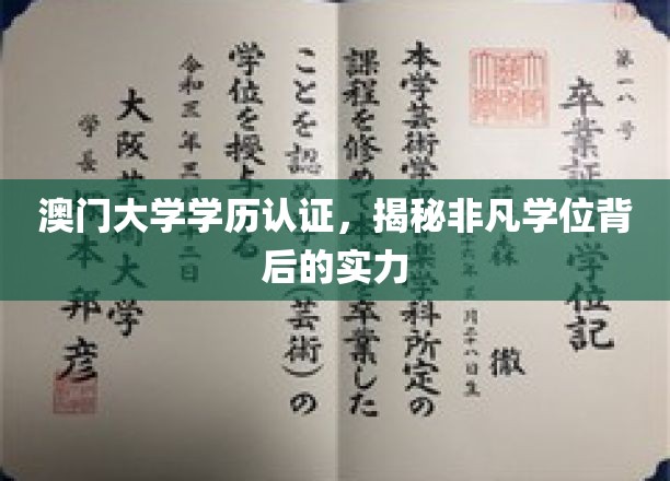澳门大学学历含金量解析，非凡学位背后的实力大揭秘