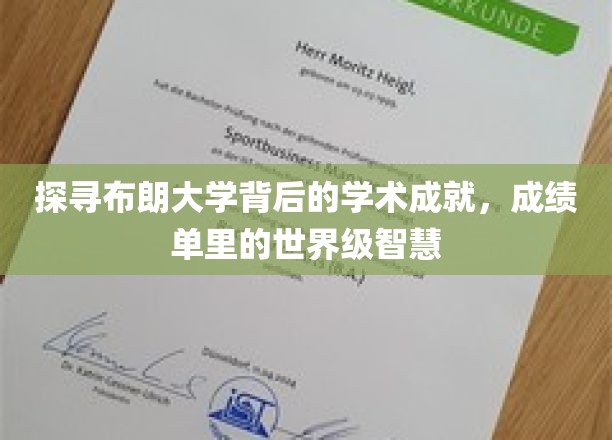 布朗大学智慧之光，揭秘学术巅峰背后的惊人成绩