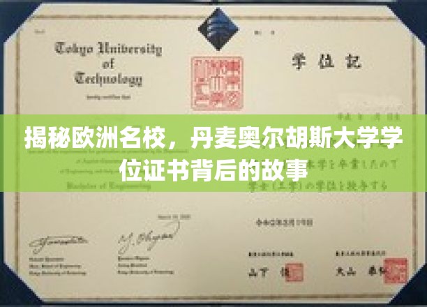 解锁丹麦奥尔胡斯大学，探寻学位证书背后的精彩篇章
