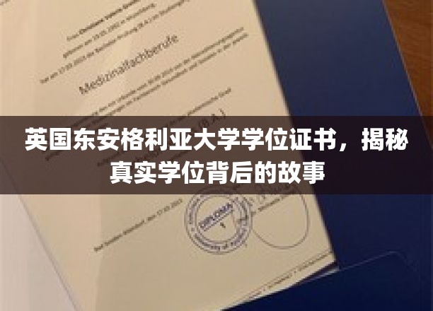 揭秘英国东安格利亚大学学位证书背后的传奇历程