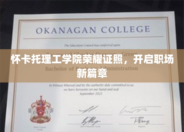 怀卡托理工荣耀证书助你启航，职场新天地一触即发