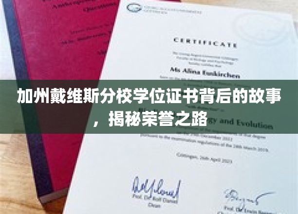 加州戴维斯分校学位证书背后的故事，揭秘荣誉之路