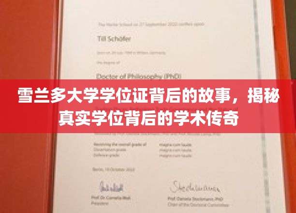 雪兰多大学学位证背后的故事，揭秘真实学位背后的学术传奇