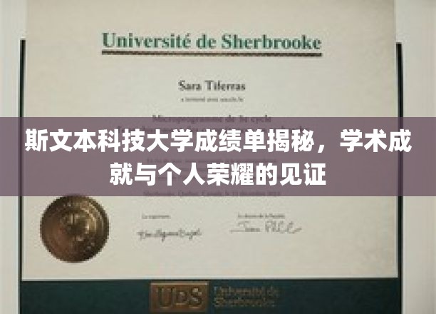 斯文荣耀，一窥斯文本科技大学成绩单背后的学术璀璨